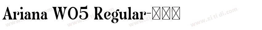 Ariana W05 Regular字体转换